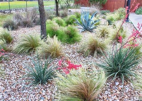 Xeriscaping: A Guide for Creating Beautiful and Sustainable Landscapes!